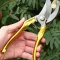 Flower Cutter Pruning Shears For Lawn & Garden