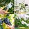 Flower Cutter Pruning Shears For Lawn & Garden