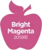 Plaid Apple Barrel Bright Magenta