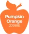 Plaid Apple Barrel Pumpkin Orange