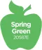 Plaid Apple Barrel Spring Green