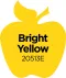 Plaid Apple Barrel Bright Yellow