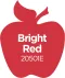 Plaid Apple Barrel Bright Red