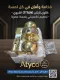 Circa 730CA Privacy Door Knob - Polished Brass  - Gold